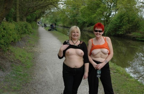 Hot Girls With Nice Asses 5 XXX Full Movie Watch Online Free